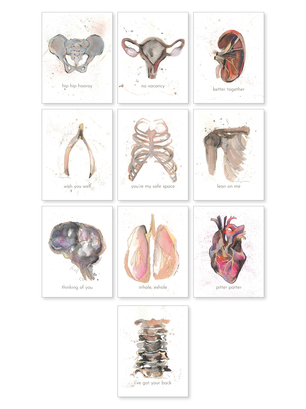 Anatomy Stationery Set (10 notecards)