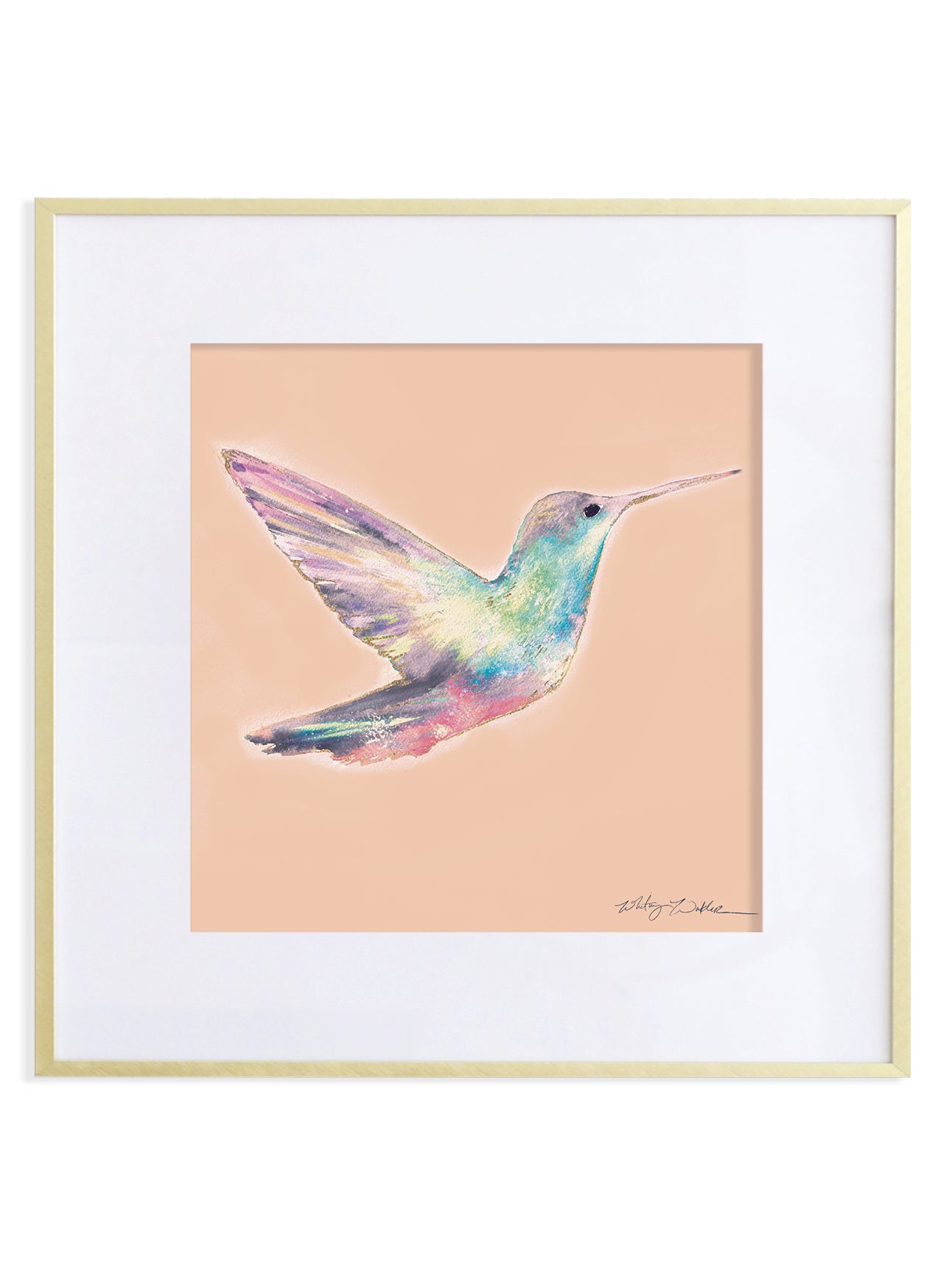 12x12 Hummingbird