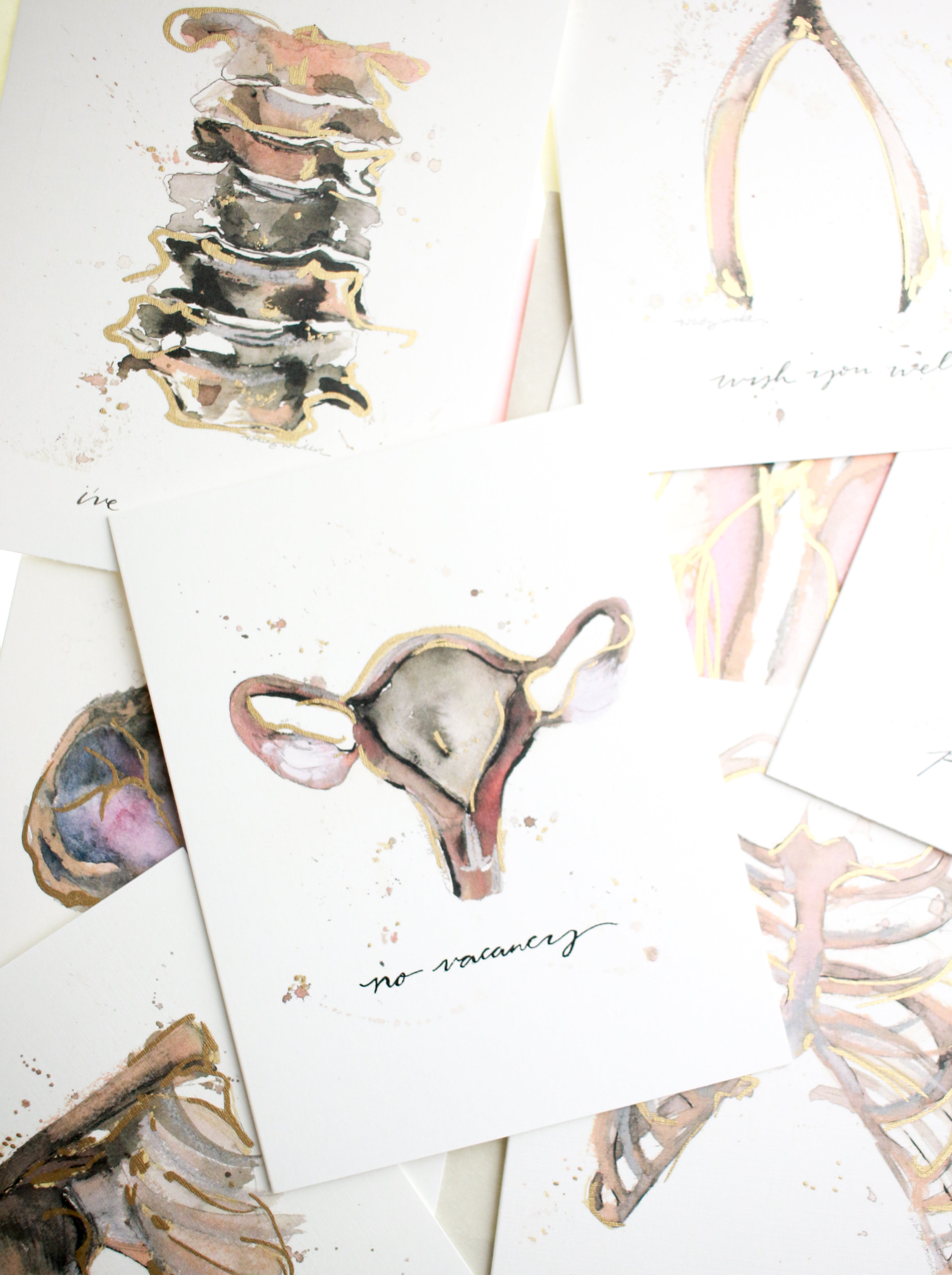 Anatomy Card Pack (10ct)