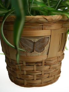 Whit's Vintage Picks | Large Container with Plant
