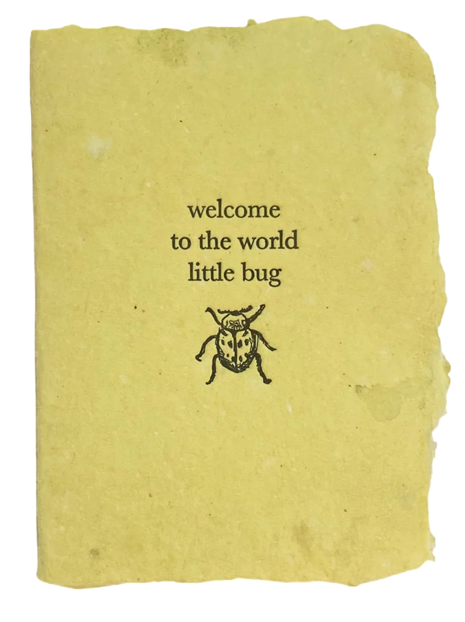 Welcome to the World Little Bug Card | Farmette