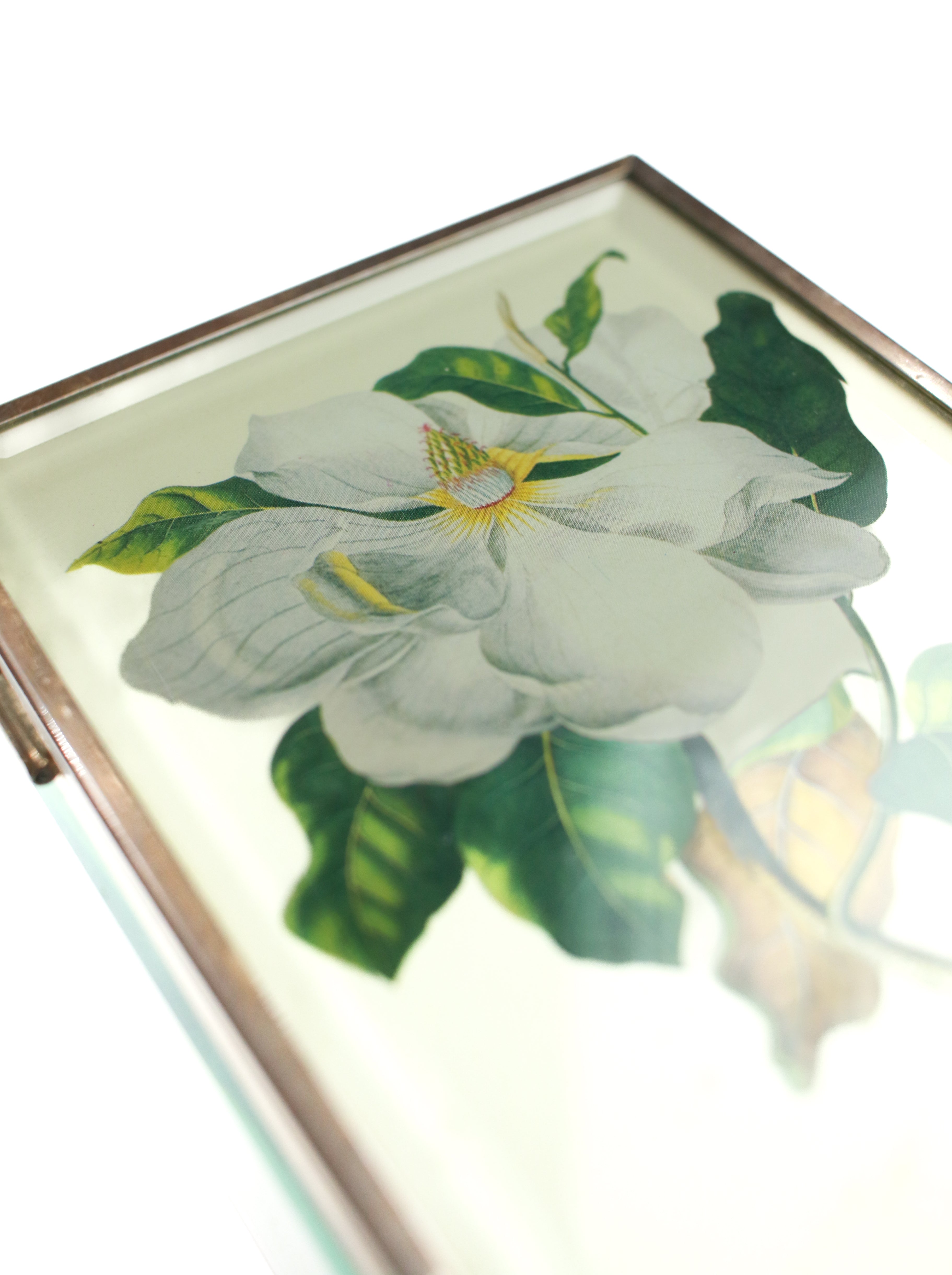 Whit's Vintage Picks | Magnolia Jewelry Box