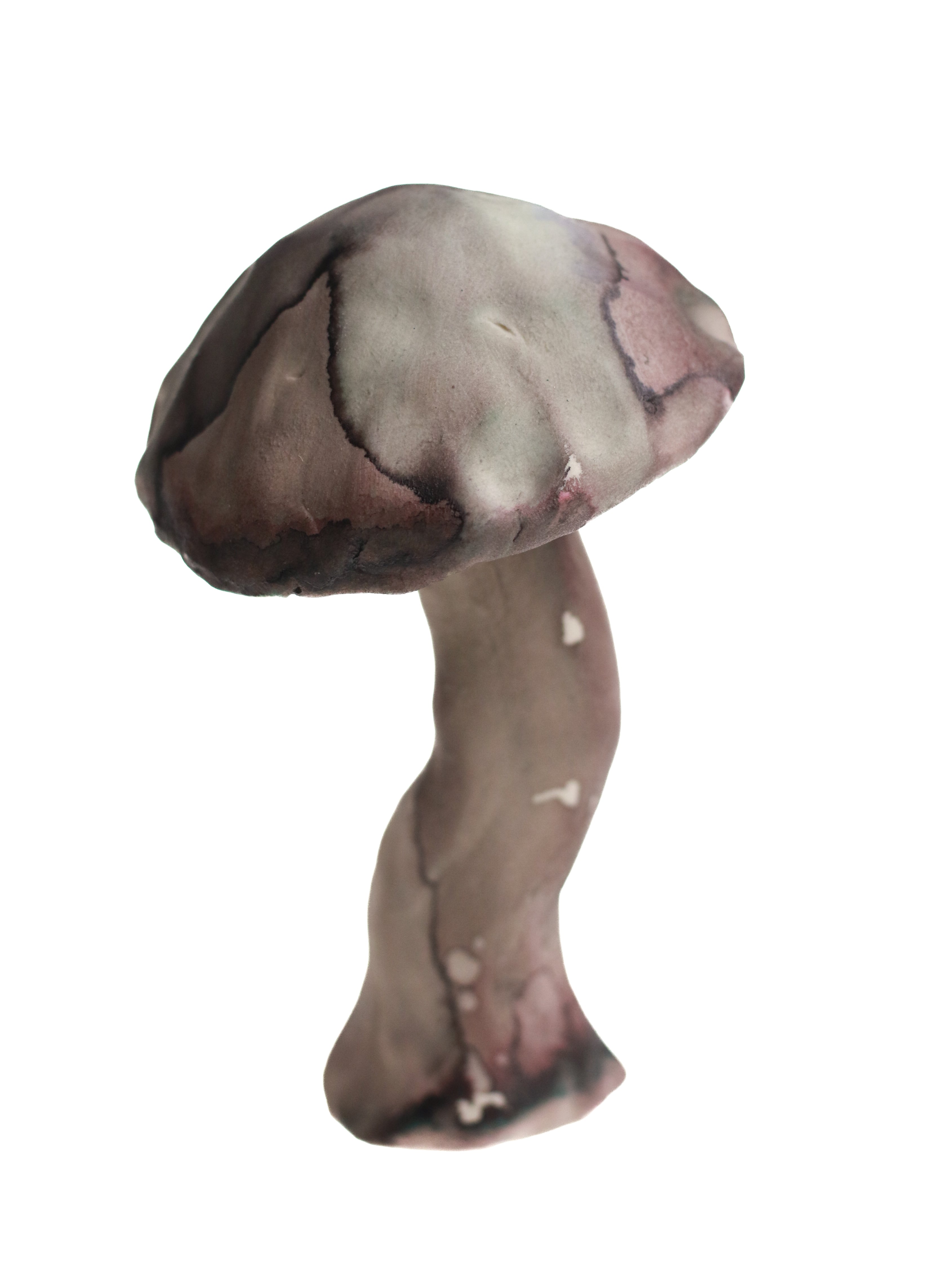 Mushroom No. 1