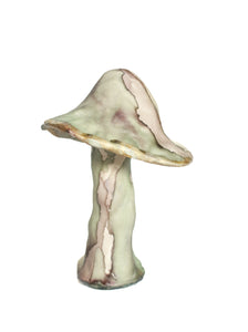 Mushroom No. 5