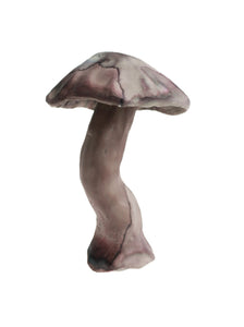 Mushroom No. 1