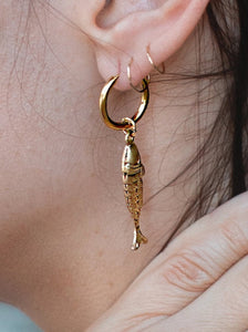 Pesce Hoops