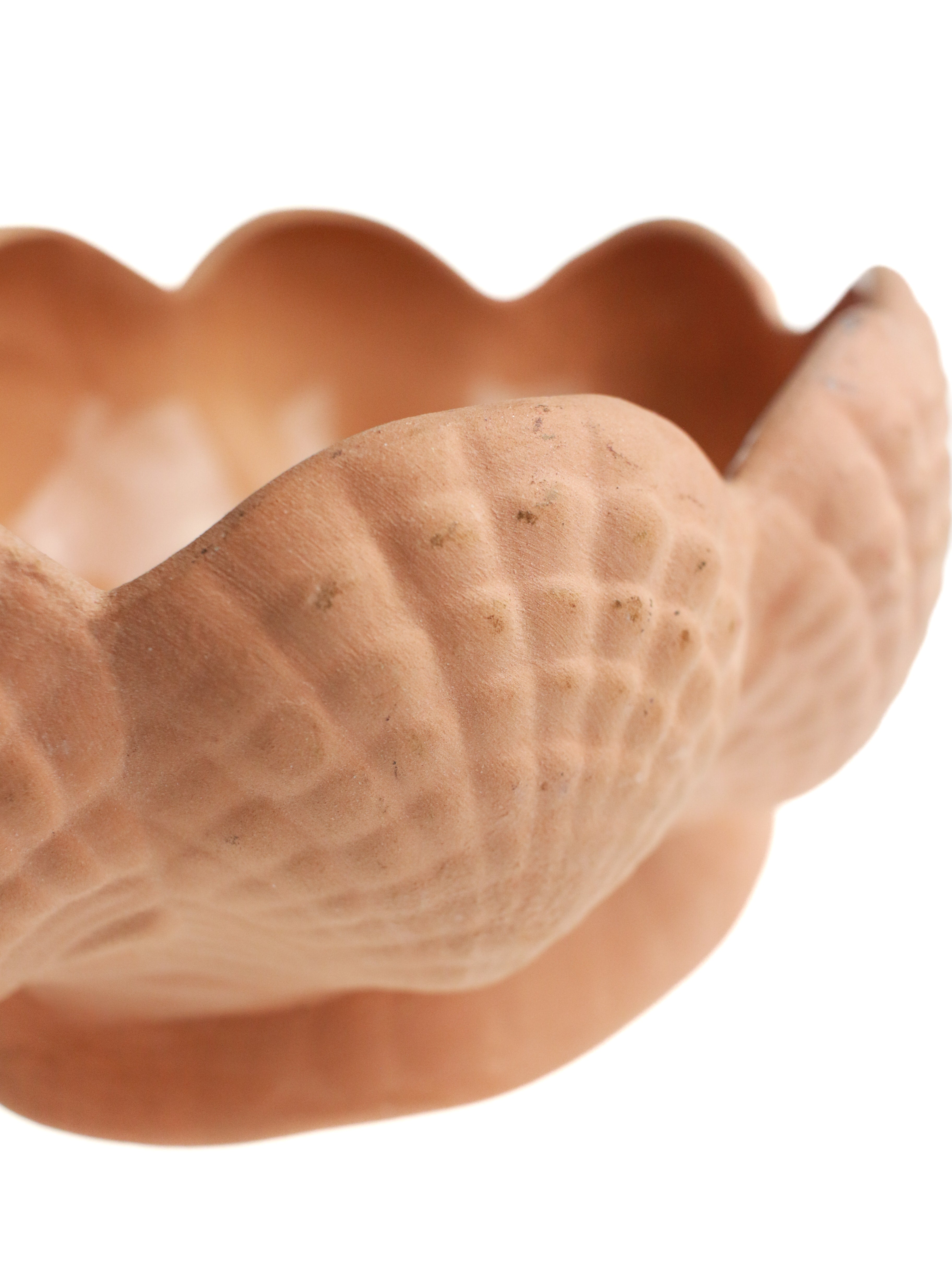 Terra Cotta Shell Planter