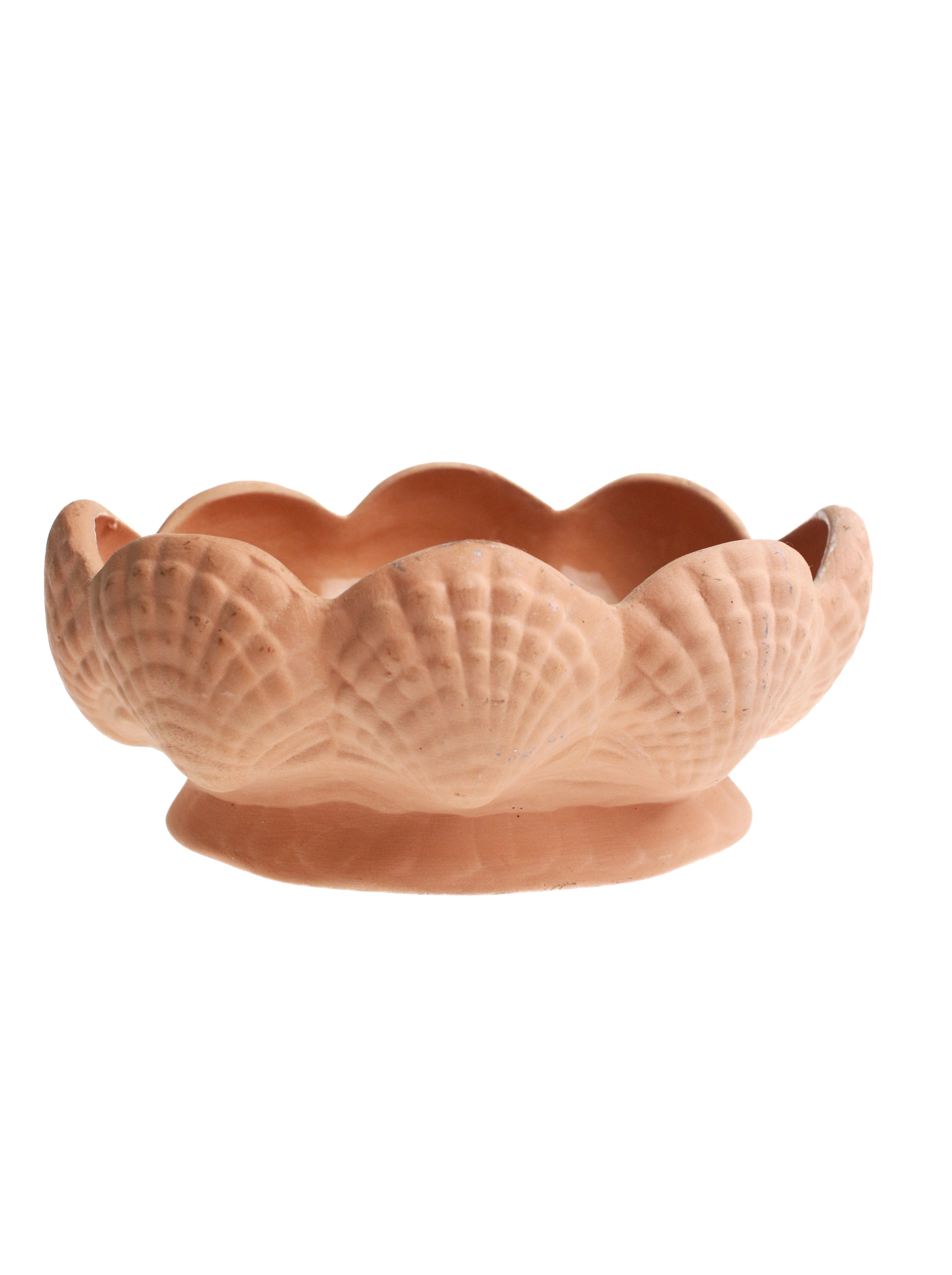 Terra Cotta Shell Planter