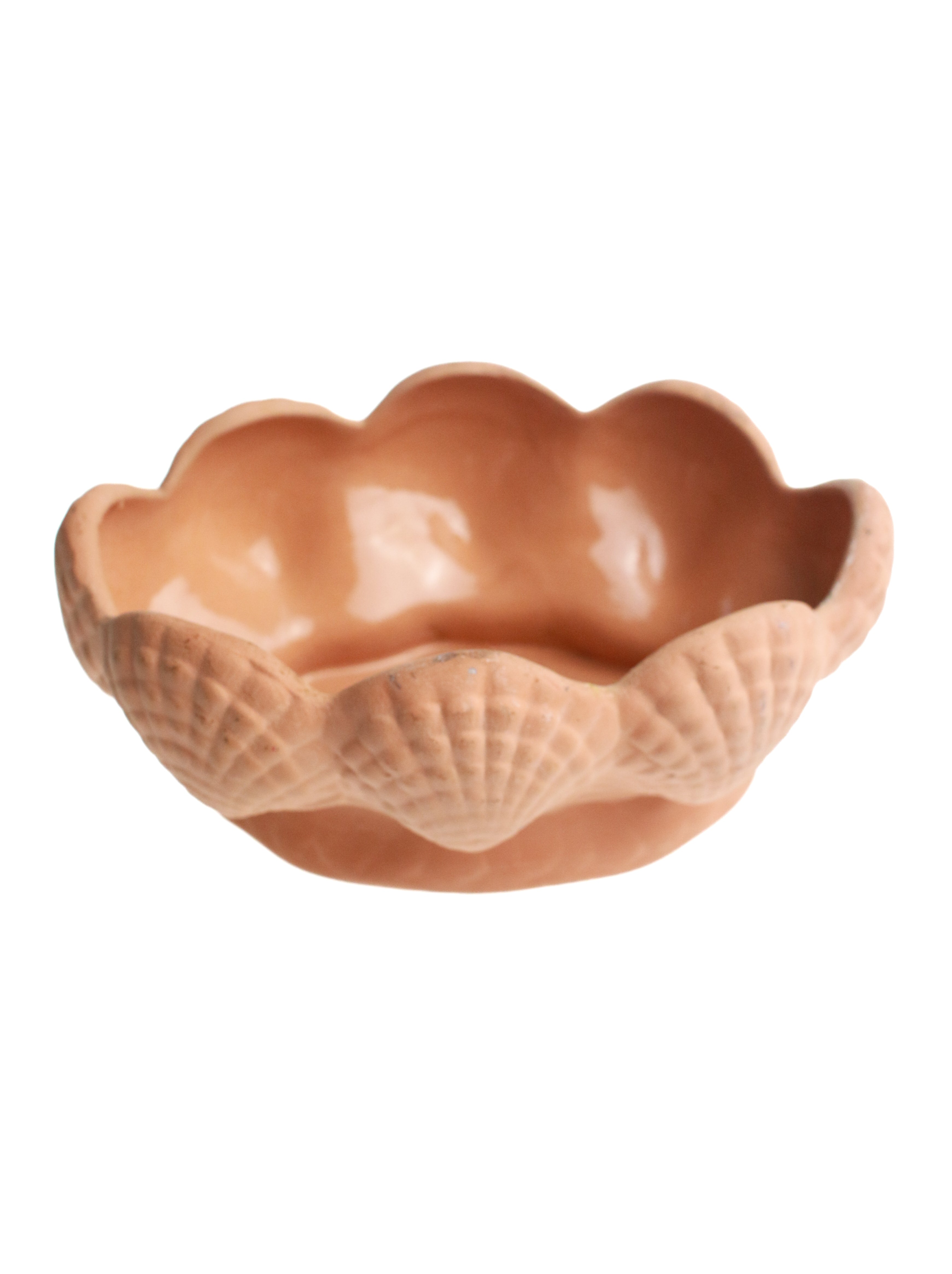 Terra Cotta Shell Planter