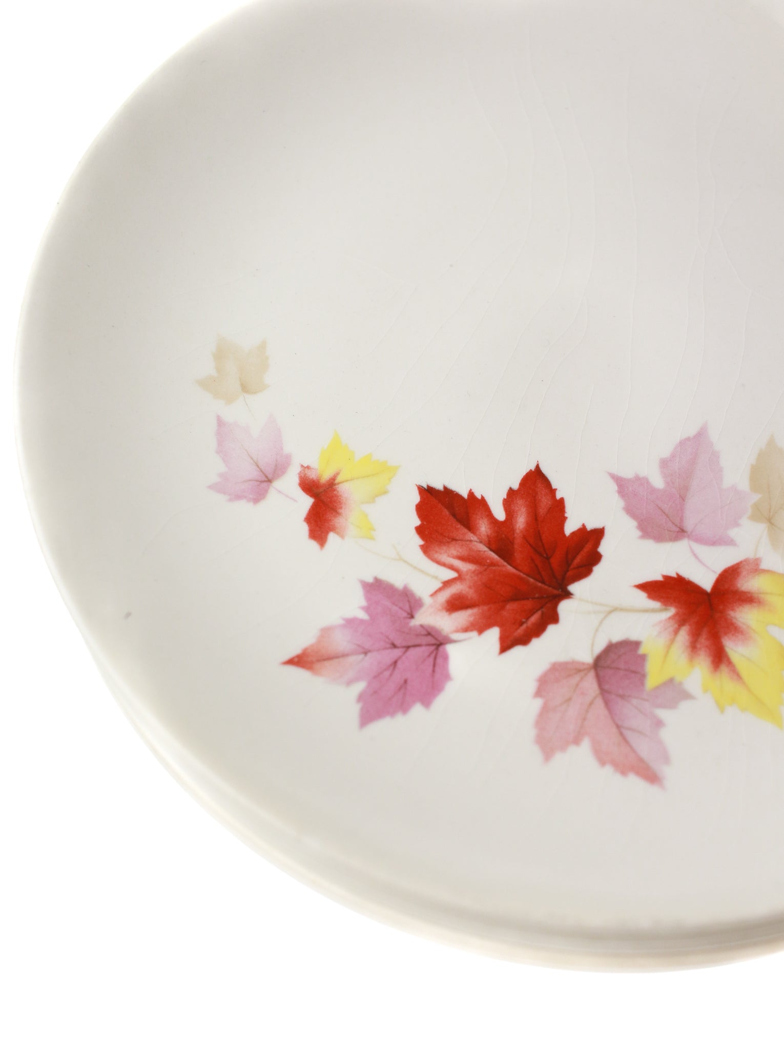 Falling Leaves Ceramic Plates (set of 6)