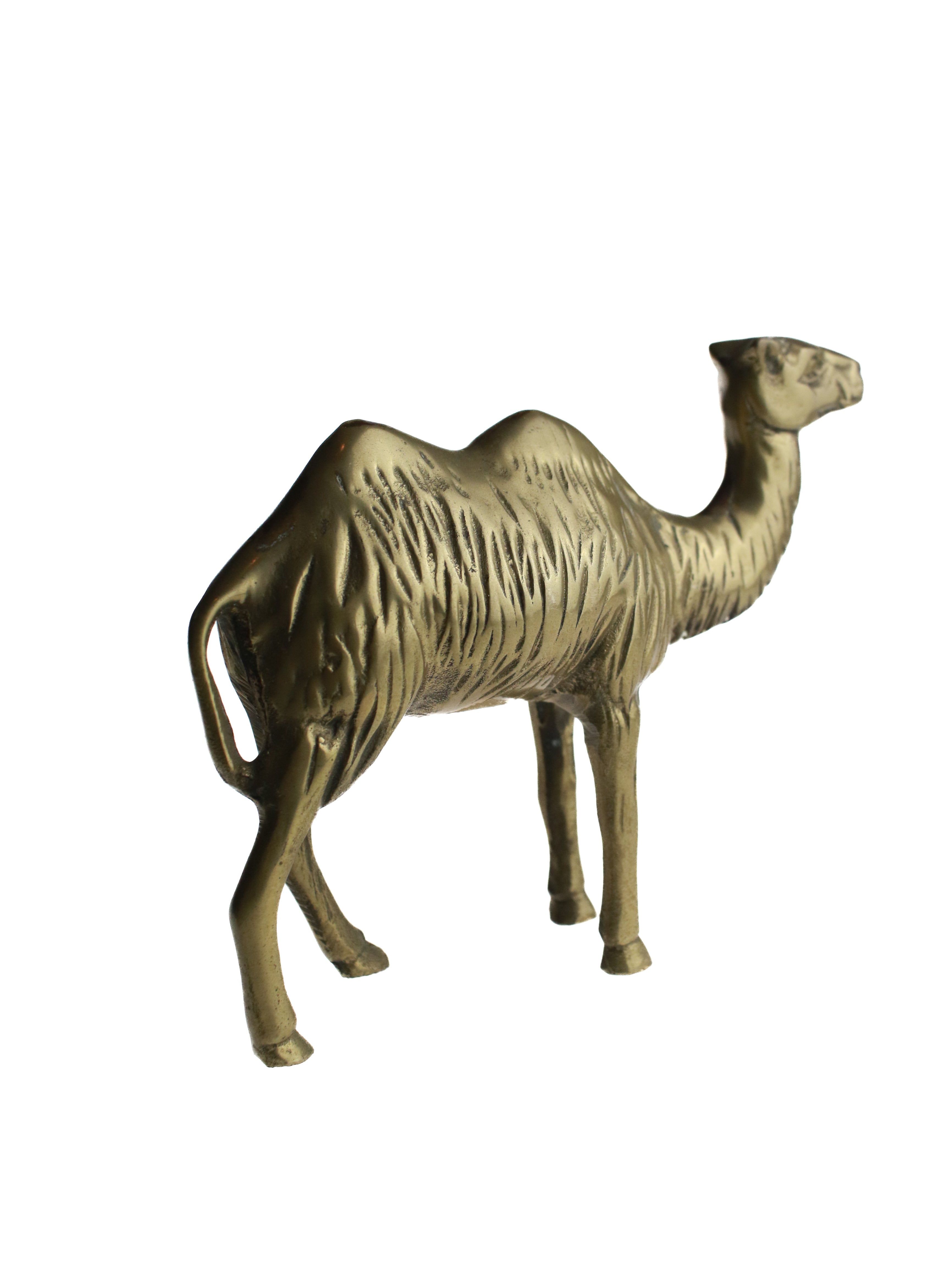 Baby Brass Camel