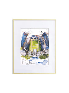 8x10 College Stadium Prints