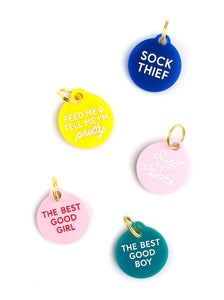 blue yellow pink and blue acrylic dog tags with funny sayings 