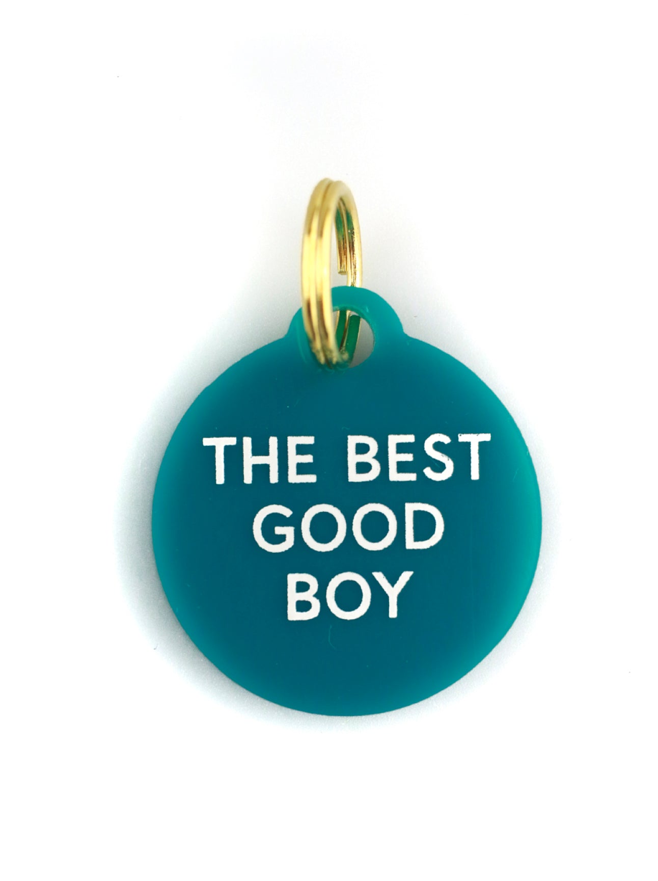 the best boy in white lettering on a blue acrylic dog tag on a white background